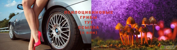 mix Арсеньев